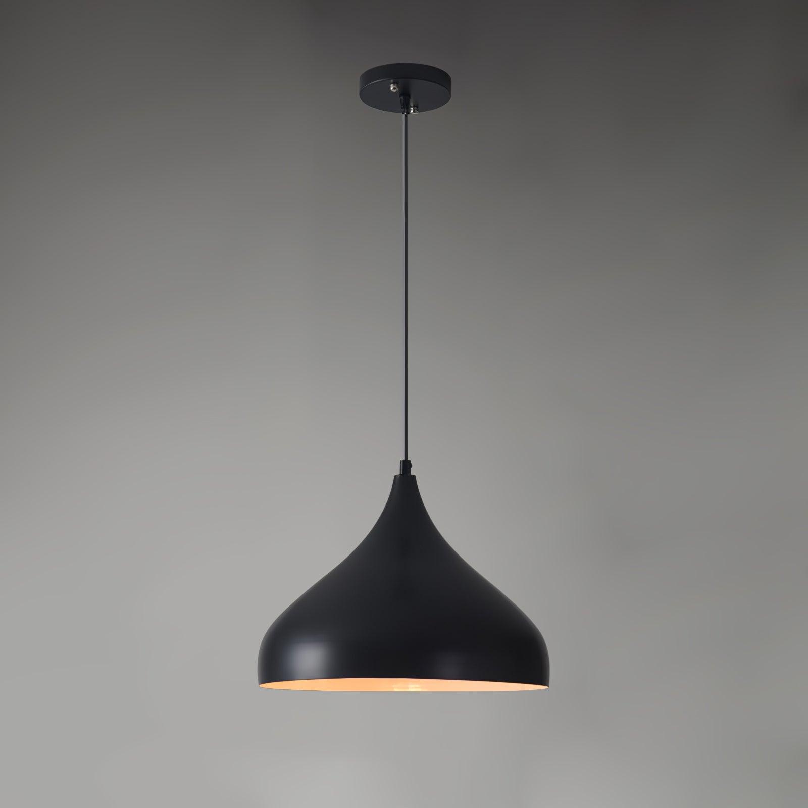 Vintage Industrial Collections Pendant Light - Lamp Outdoor