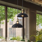 Vintage Industrial Collections Pendant Light - Lamp Outdoor