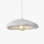 Nylire Modern Minimalist Art Plastic Metal Pendant Light - Lamp Outdoor