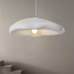 Nylire Modern Minimalist Art Plastic Metal Pendant Light - Lamp Outdoor