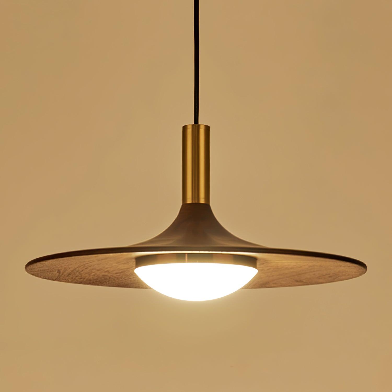 Walnut Wood Dish Pendant Light - Lamp Outdoor