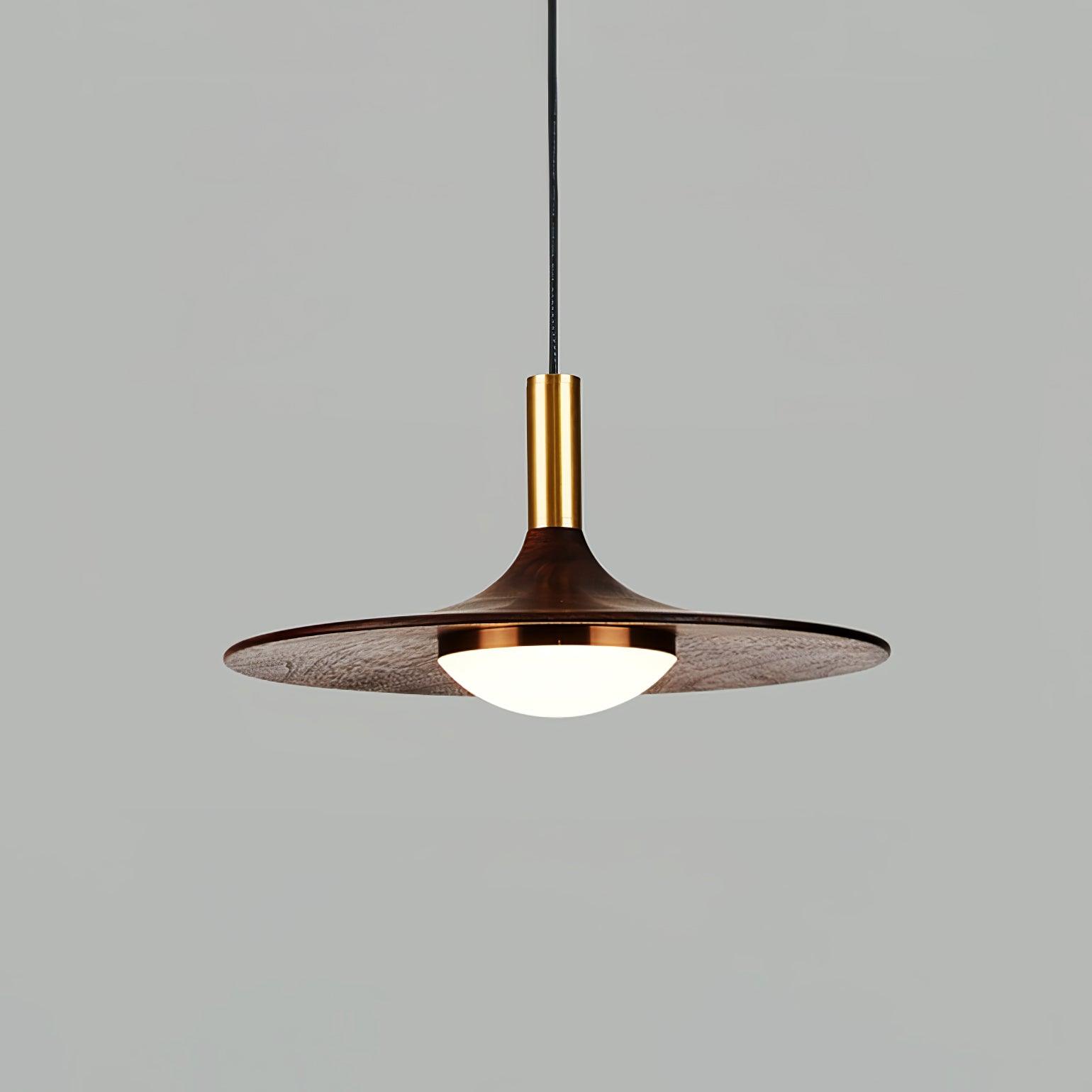 Walnut Wood Dish Pendant Light - Lamp Outdoor