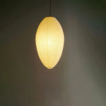 Washi Paper Chestnut Pendant Lamp - Lamp Outdoor