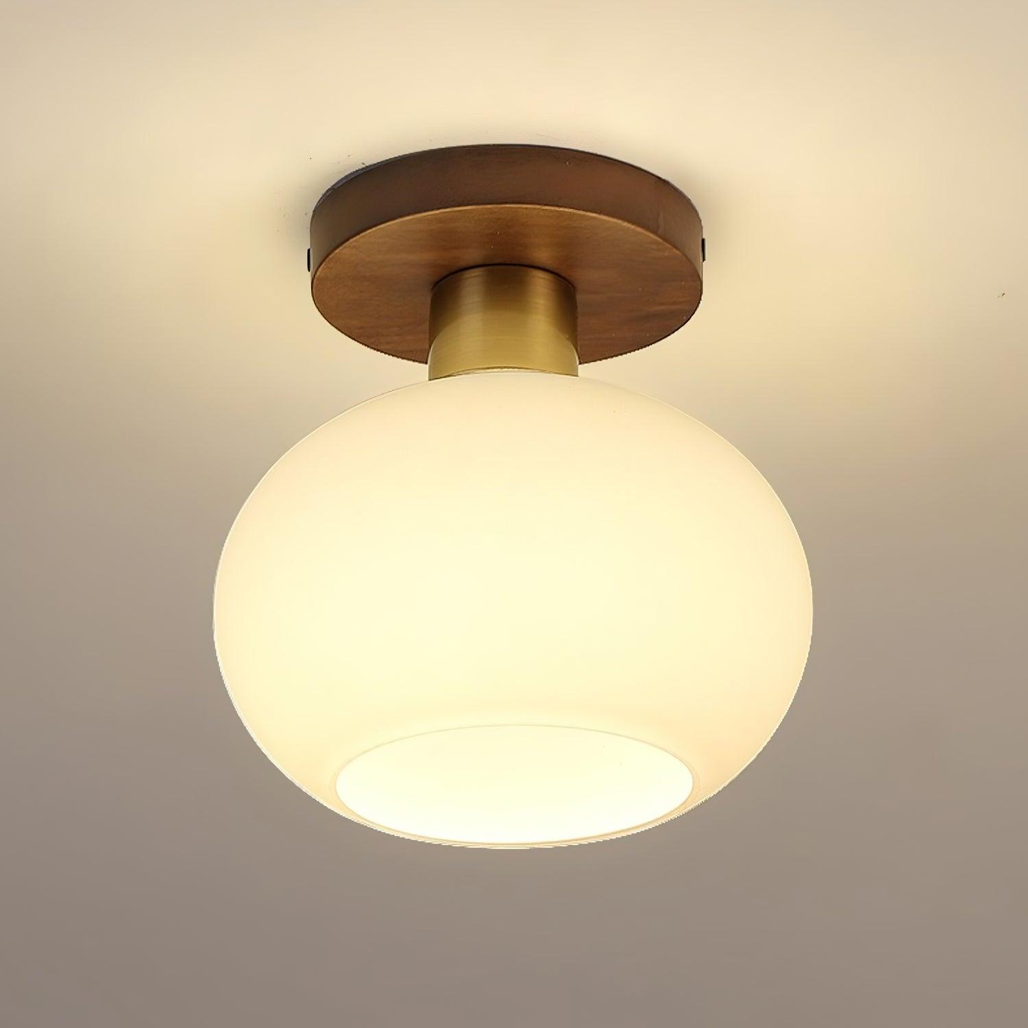 White Shell Ceiling Lamp - Lamp Outdoor