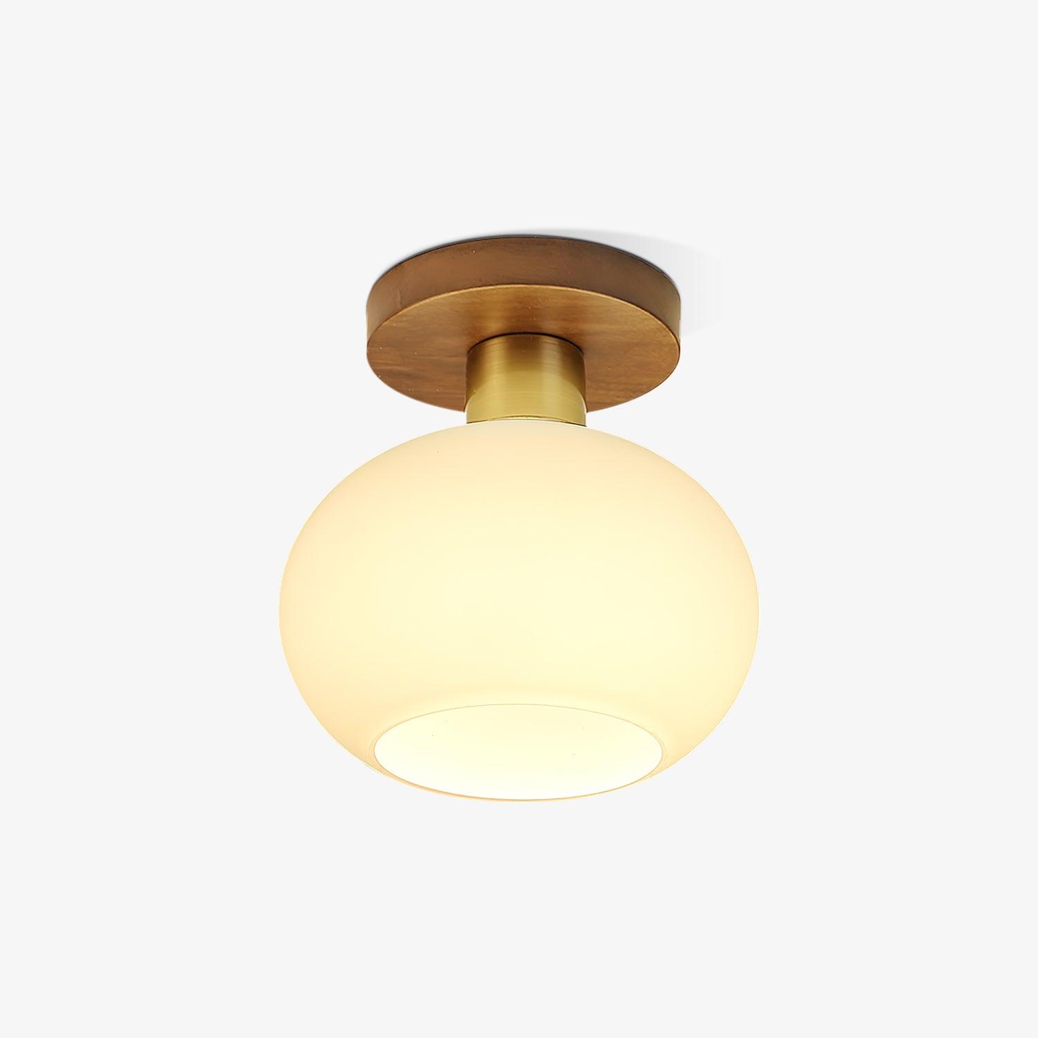 White Shell Ceiling Lamp - Lamp Outdoor