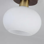 White Shell Ceiling Lamp - Lamp Outdoor