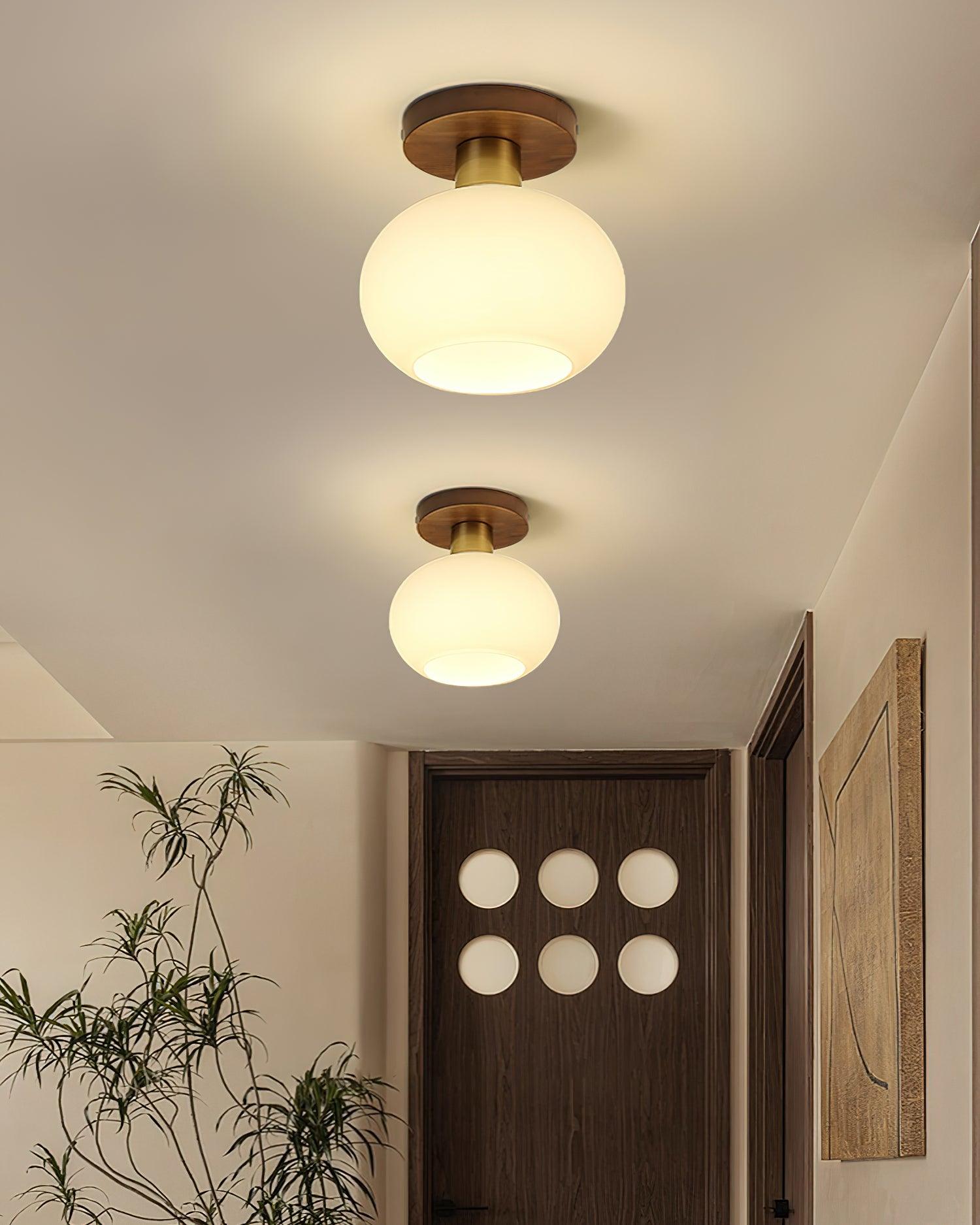 White Shell Ceiling Lamp - Lamp Outdoor