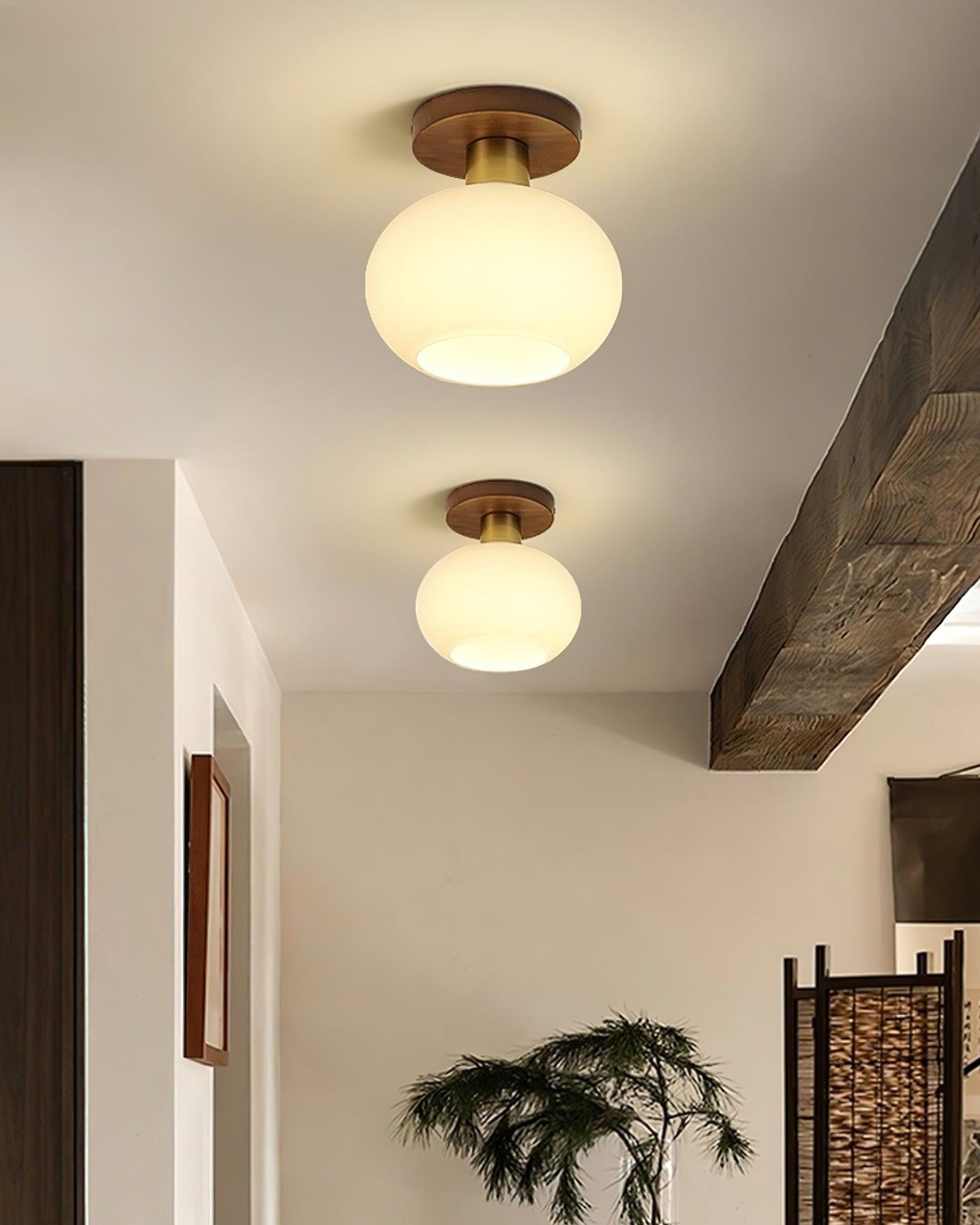 White Shell Ceiling Lamp - Lamp Outdoor