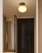 White Shell Ceiling Lamp - Lamp Outdoor