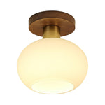 White Shell Ceiling Lamp - Lamp Outdoor
