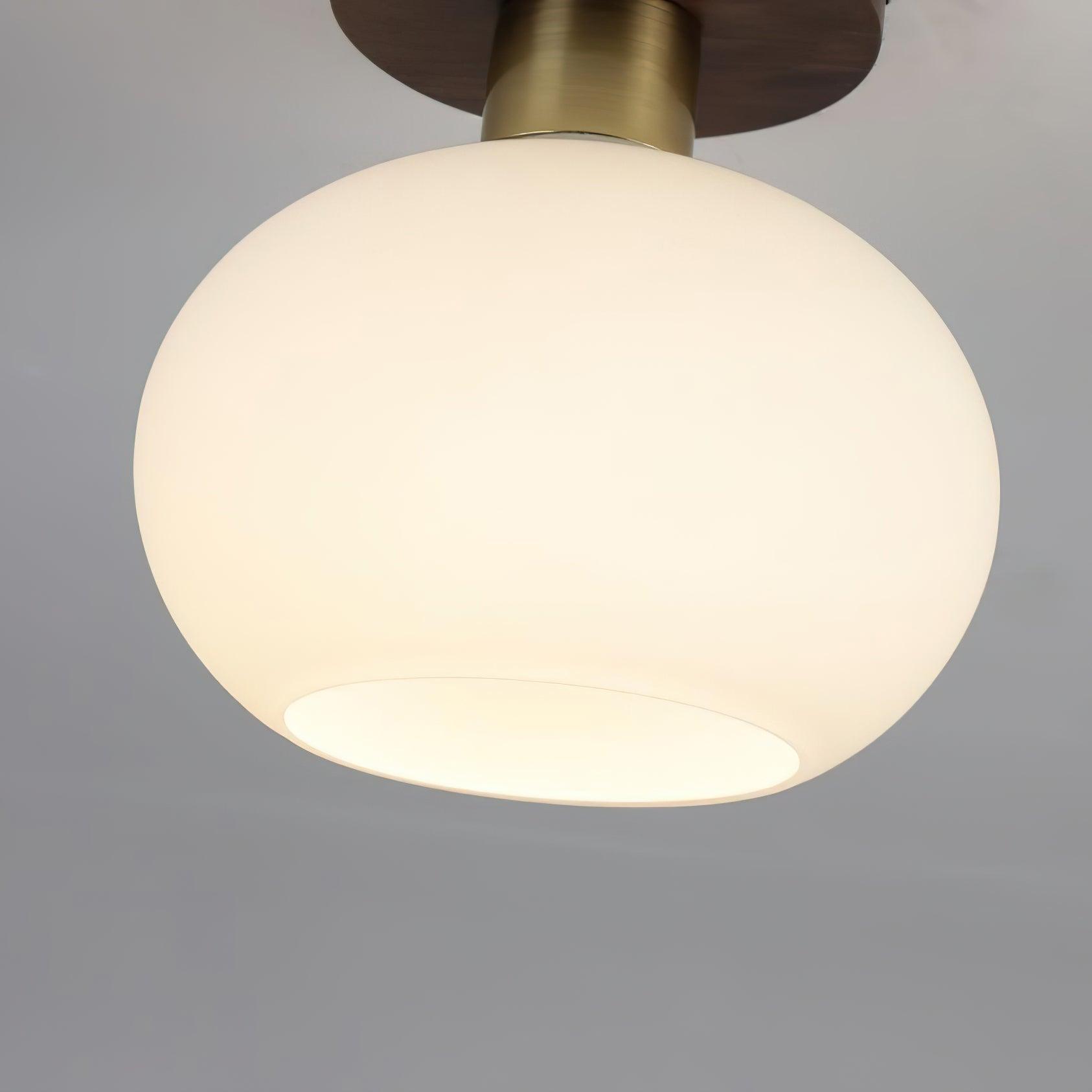 White Shell Ceiling Lamp - Lamp Outdoor