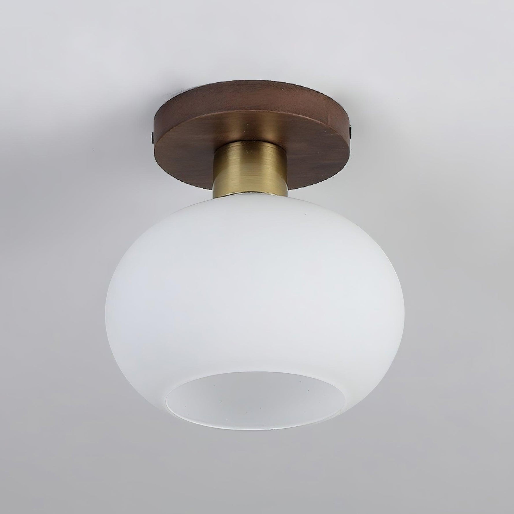 White Shell Ceiling Lamp - Lamp Outdoor