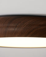 Wood Grain Round Ceiling Lamp - Lamp Outdoor