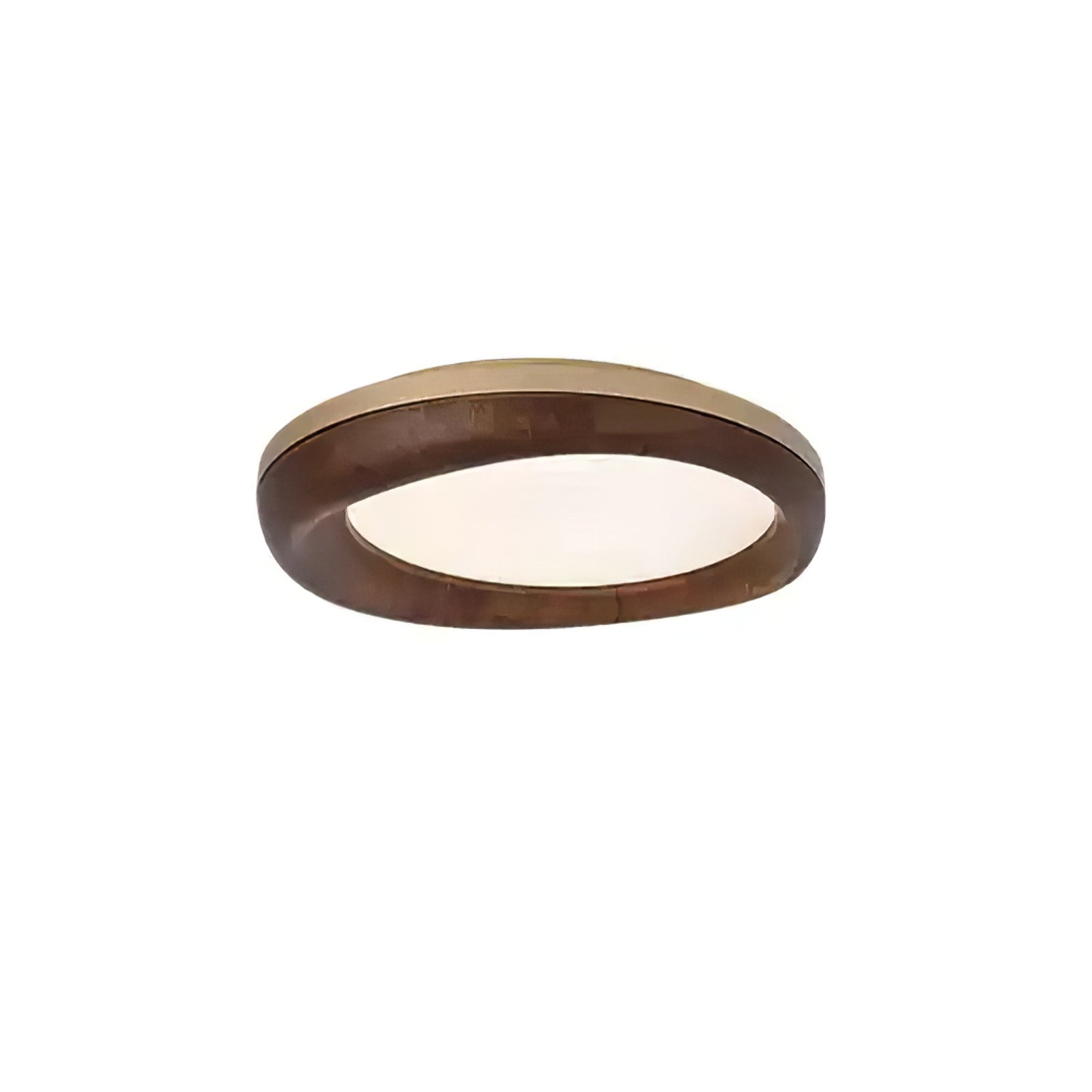 Eurtheara Organic Wood Glass Ceiling Light - Lamp Outdoor