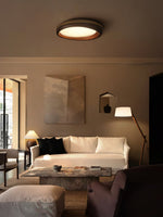 Eurtheara Organic Wood Glass Ceiling Light - Lamp Outdoor