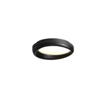 Eurtheara Organic Wood Glass Ceiling Light - Lamp Outdoor