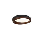 Eurtheara Organic Wood Glass Ceiling Light - Lamp Outdoor