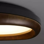 Eurtheara Organic Wood Glass Ceiling Light - Lamp Outdoor