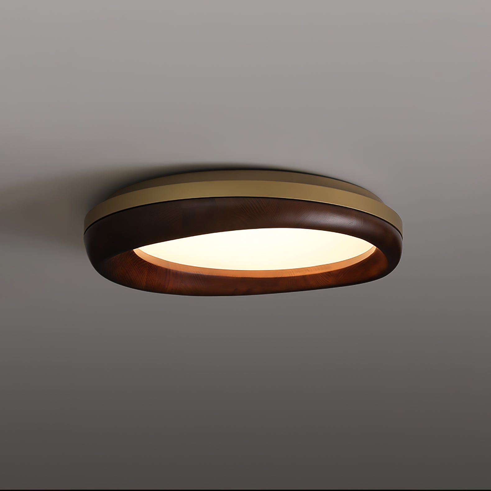 Eurtheara Organic Wood Glass Ceiling Light - Lamp Outdoor