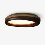 Eurtheara Organic Wood Glass Ceiling Light - Lamp Outdoor