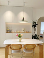 Zennith Balance Pendant Light - Lamp Outdoor