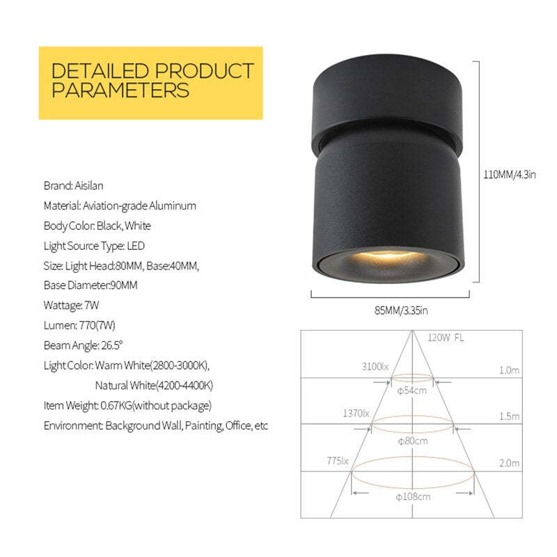 Kilo Spotlight Modern LED Flush Mount Ceiling Light, Black/White - Lamp Outdoor