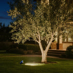 Outdoor Spotlights For Trees Modern style - Lamp Outdoor