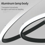 Zin Modern Ring Pendant Light, 2/3/4 Rings - Lamp Outdoor