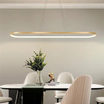 Junel Minimalist Oval Interior Hanging Pendant Light - Lamp Outdoor