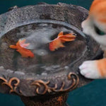 Solar Resin Animal Solar Lights For Garden - Lamp Outdoor