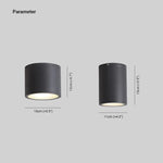 Ray Modern Cylindrical Flush Mount Ceiling Light Metal Glass - Lamp Outdoor