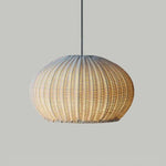 Ritta Modern Lantern Pendant Light, Coffee & Beige - Lamp Outdoor