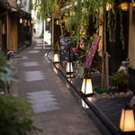 Waterproof LED Black Retro Outdoor Light Lanterns Garden Lights - Lamp Outdoor