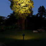 LED Stakes For Outdoor Lights Modern Style - Lamp Outdoor
