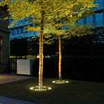 Solid Upwards LED Tree-Mounted Lights Outdoor Landscape Lighting for Trees - Lamp Outdoor