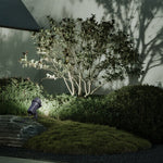 LED Garden Spike Lights Minimalist - Lamp Outdoor