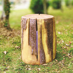 Realistic Tree Stump LED Outdoor Garden Lights - Cylindrical, Textured Design - Lamp Outdoor