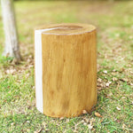 Realistic Tree Stump LED Outdoor Garden Lights - Cylindrical, Textured Design - Lamp Outdoor