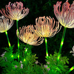 Outdoor Gardens Landscape Lighting Solar Waterproof - Lamp Outdoor