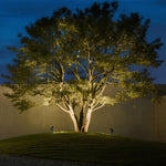 LED Stakes For Outdoor Lights Ground Insert - Lamp Outdoor
