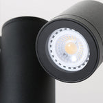 Flexi-Glow Dual-Head Rotatable Outdoor Lawn Light for Modern Landscapes - Lamp Outdoor